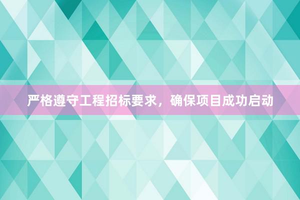 严格遵守工程招标要求，确保项目成功启动